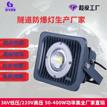 RG-FL-FB-A series LED tunnel explosion-proof lamp Low voltage trolley floodlight engineering Lighting lamp Industrial outdoor waterproof 50W floodlight