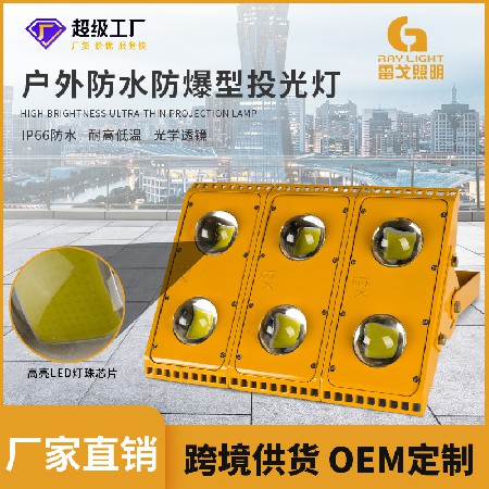 RG-FL-FB series LED Explosion-proof Lamp Low Voltage 36V220V Outdoor Trolley Tunnel Lamp Workshop Cold Storage Waterproof Metro Floodlight